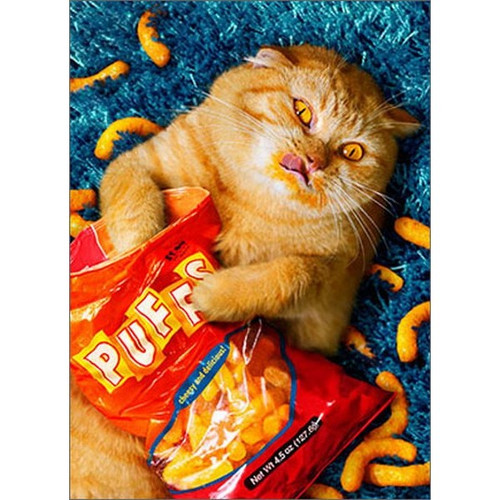 Cheese Puff Cat Stand Out Pop-Up Birthday Card