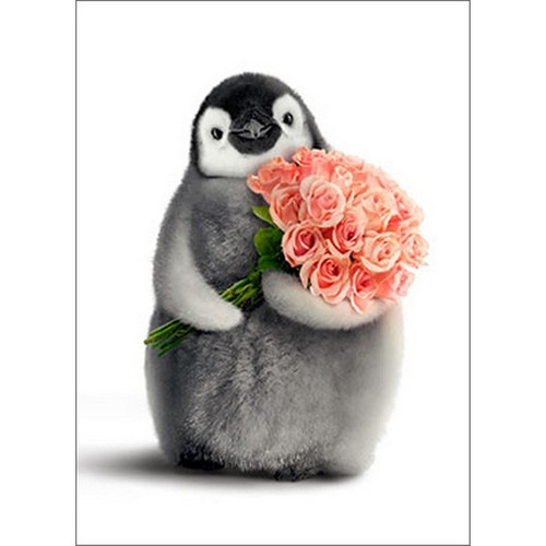 Penguin With Flower Bouquet Funny / Humorous Valentine's Day Card