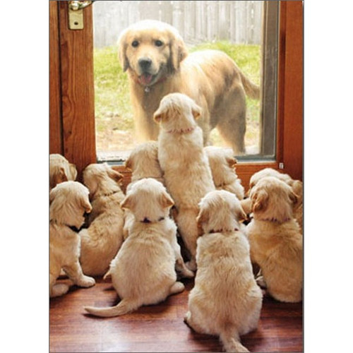 Golden Mom At Door Funny / Humorous Dog Mother's Day Card
