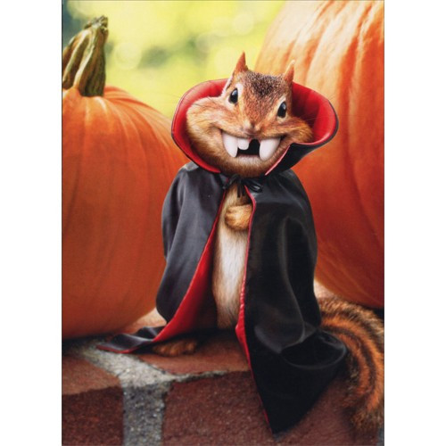 Chipmunk Vampire Stand Out Pop-Up Funny / Humorous Halloween Card