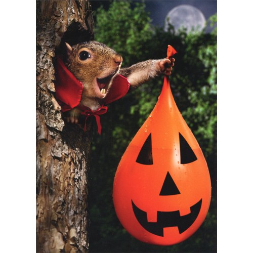 Vampire Squirrel Water Balloon Stand Out Pop Up Funny / Humorous Halloween Card