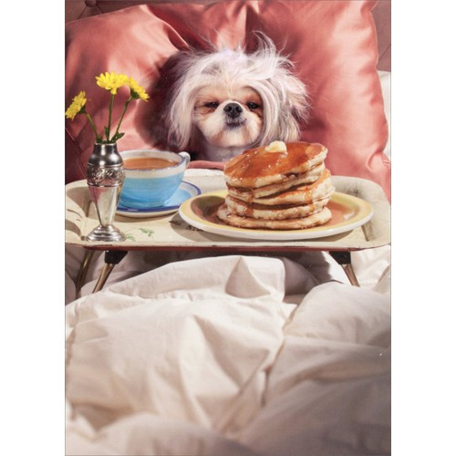 Breakfast In Bed Dog Mother's Day Card