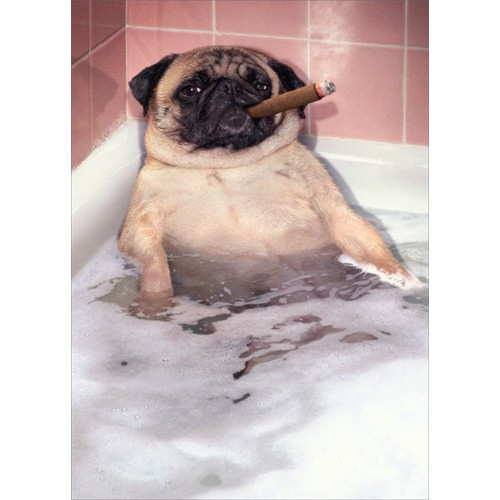 Pug Takes Bubble Bath Funny Dog Father's Day Card