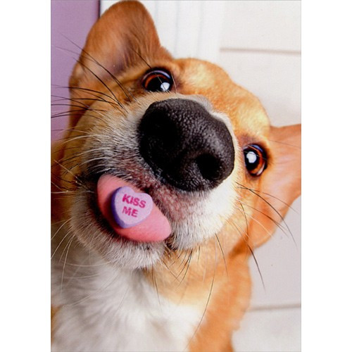 Dog with Candy Heart on Tongue Valentine's Day Card