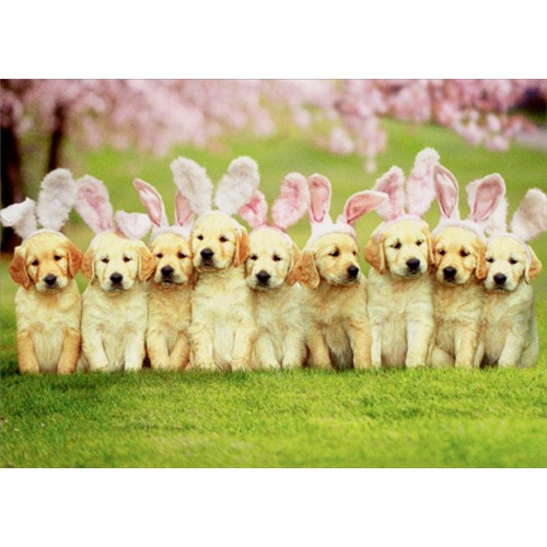 Row Of Puppy Bunnies Dog Easter Card