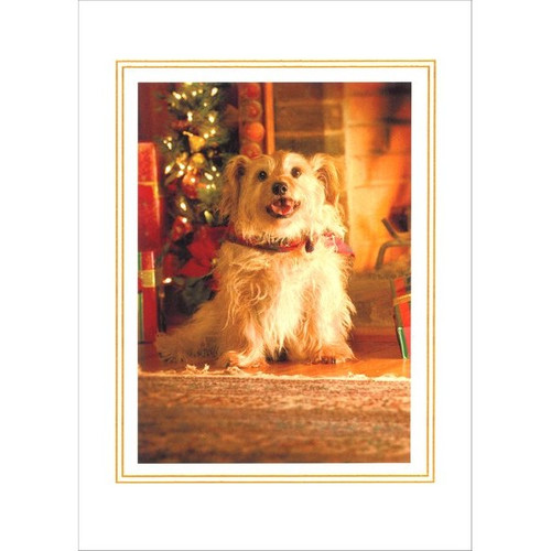 Mixed Breed Portrait Dog Holiday Card