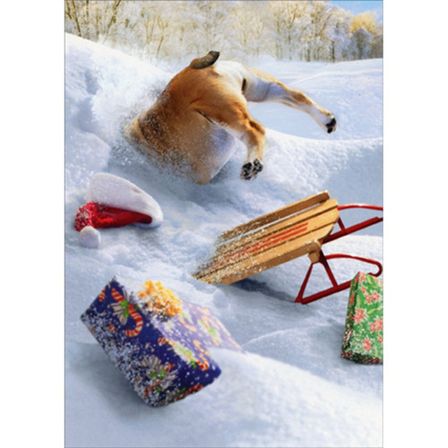 Dog and Sled Stuck in Pile of Snow Humorous : Funny Christmas Card