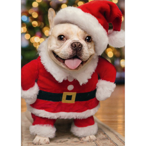 Puppy Wearing Santa Hat and Suit Cute Humorous : Funny Dog Christmas Card