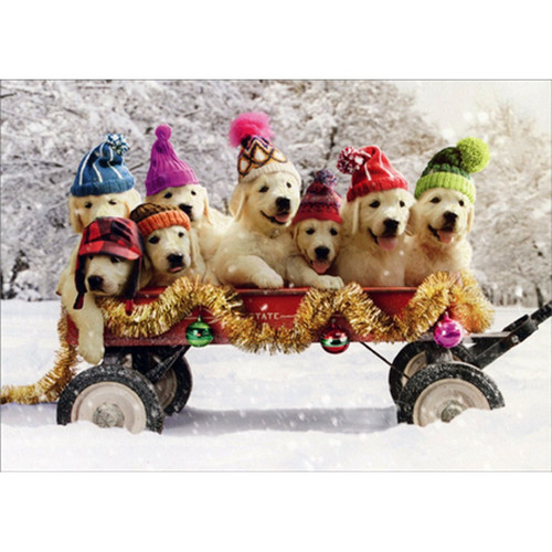 Puppies Wearing Winter Hats on Wagon Cute Dogs Christmas Card