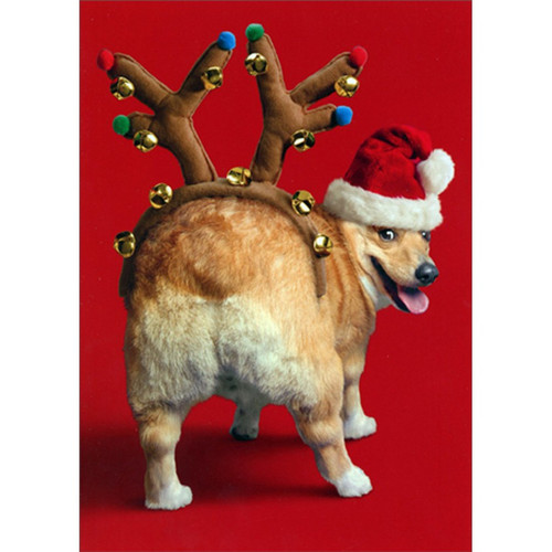 Dog with Reindeer Antlers on Butt Funny / Humorous Christmas Card