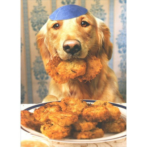 Dog Steals Latkes Hanukkah Card