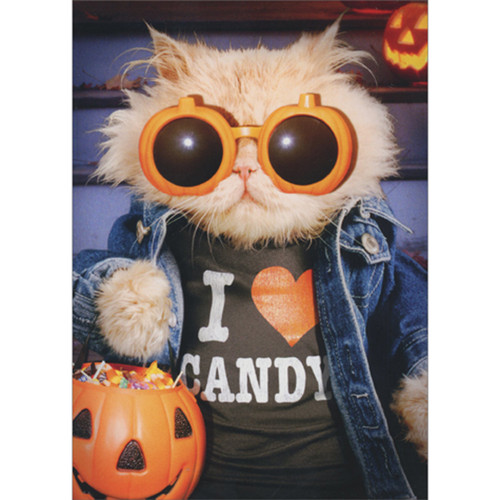 Cat Trick or Treating in I Heart Candy T-Shirt Cute / Funny Halloween Card: I (heart) Candy