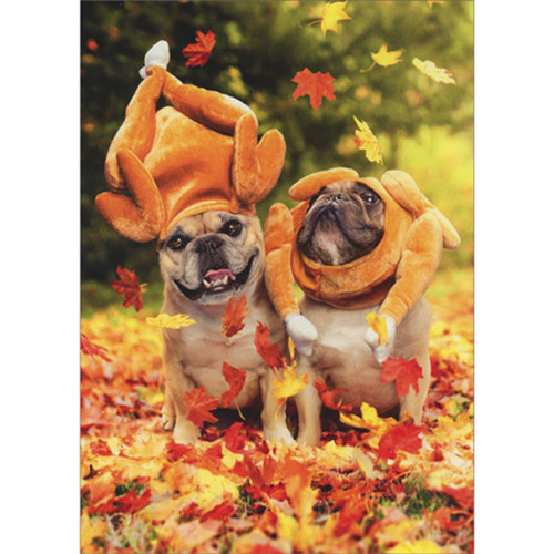Two Pugs Wearing Turkey Hats Playing in Falling Leaves Thanksgiving Card