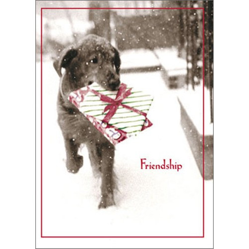 Dog Carrying Present In Snow Funny / Humorous Black Lab Christmas Card: Friendship