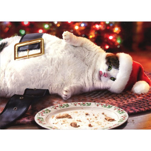 Santa Cat With Cookies Funny Christmas Card