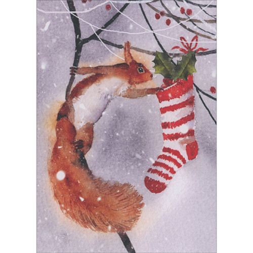 Check the Stocking: Squirrel Grabbing Striped Stocking on Branch Box of 8 Winter Holiday / Christmas Cards