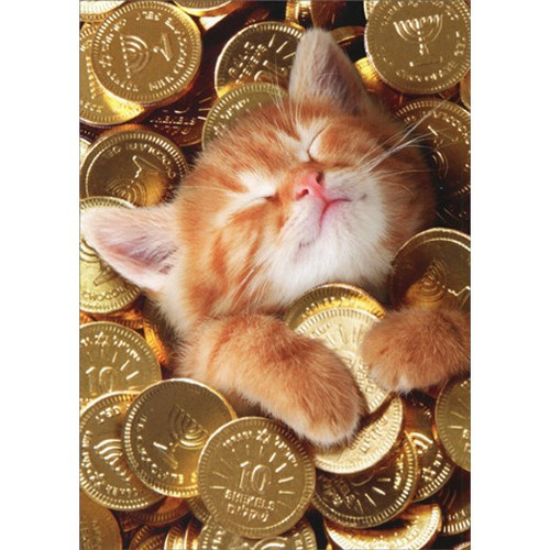 Kitten With Gold Coins Cute Cat Hanukkah Card