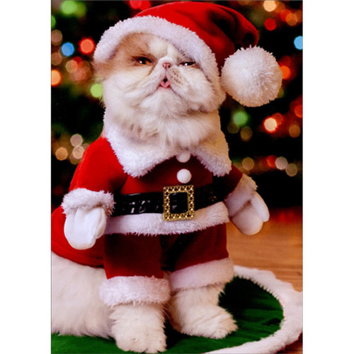 Standing Santa Cat Funny / Humorous Christmas Card