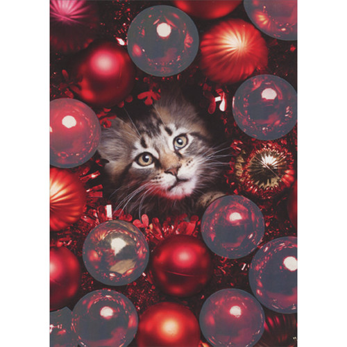 Gray Kitten at the Center of Shimmering Red Ornaments Christmas Card
