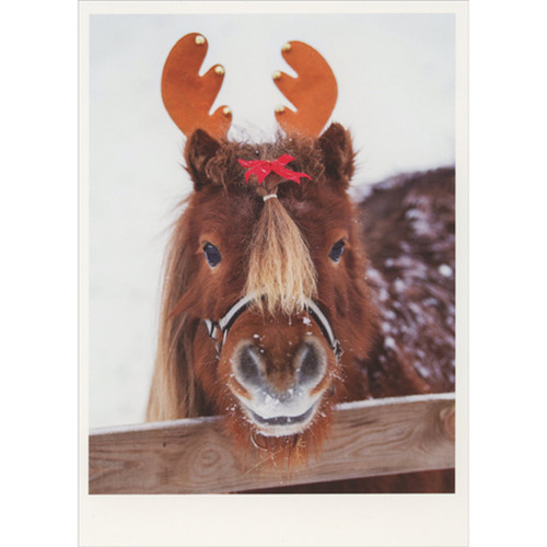 Horse with Costume Antlers Behind Fence Christmas Card