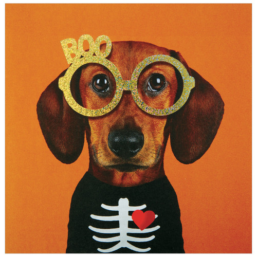 Brown Dog Wearing Skeleton Tshirt and Gold Foil Boo Glasses Funny Halloween Card: BOO Brown Dog Wearing Skeleton Tshirt and Gold Foil Boo Glasses Funny Halloween Card: BOO