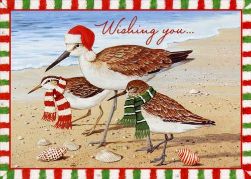 Birds with Holiday Attire on Beach Near Shells Box of 15 Coastal Christmas Cards: Wishing you…