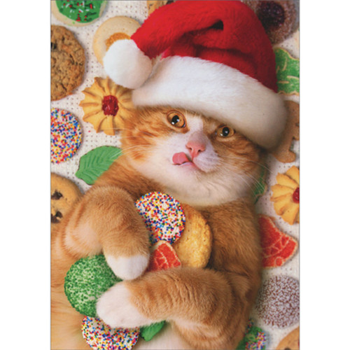 Santa Cat Lying on Back, Holding Cookies and Licking Lips Pack of 10 Funny Christmas Cards
