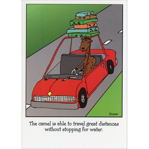 Camel Road Trip Funny / Humorous Just for Fun Card: The camel is able to travel great distances without stopping for water.