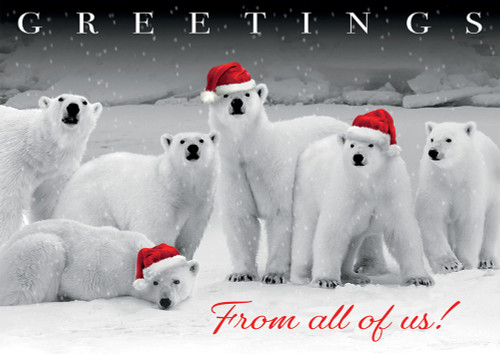 Polar Bear Pack Wearing Red Holiday Hats Box of 25 Custom Verse Holiday Cards: Greetings From All of Us!