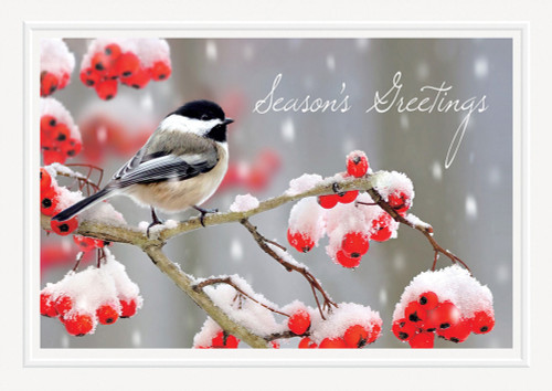 Small Black and White Bird on Branch with Snow Covered Berries Box of 25 Custom Verse Holiday Cards: Season's Greetings