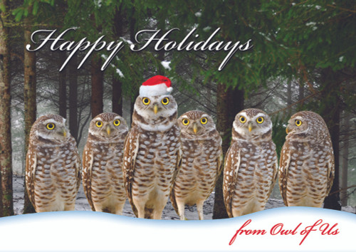Owl of Us: Group of Six Owls with One Owl in Santa Hat Box of 25 Custom Verse Christmas Cards: Happy Holidays from Owl of Us