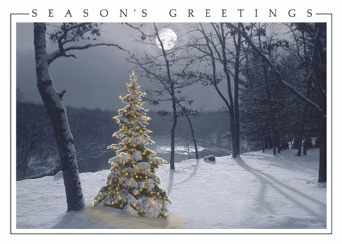 All is Bright: Decorated Evergreen Along Snowy Ridge Under  Moon Box of 25 Custom Verse Christmas Cards: Season's Greetings