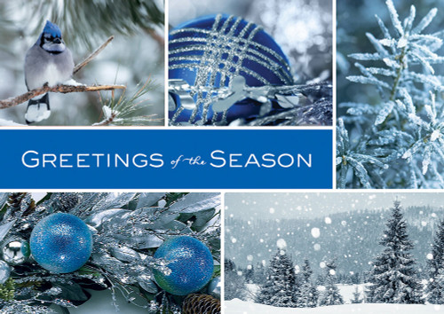 Icy Blue Wonder: Panels of Blue Jay, Ornament and Trees Box of 25 Custom Verse Holiday Cards: Greetings of the Season