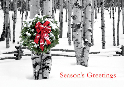Birch Grove: Red Bow and Wreath on Trees Box of 25 Custom Verse Holiday Cards: Season's Greetings