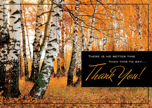 Amber Leaves in Forest of White Birch Trees Box of 25 Custom Verse Thanksgiving Cards: There is no better time than this to say  Thank You!
