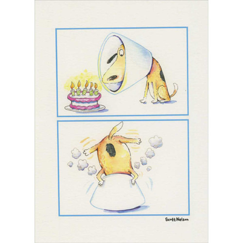 Dog in Recovery Cone Eats Cake Funny Birthday Card