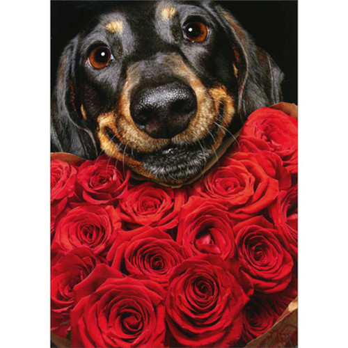 Smiling Dog's Face Over Heart Shaped Bouquet of Red Roses Valentine's Day Card