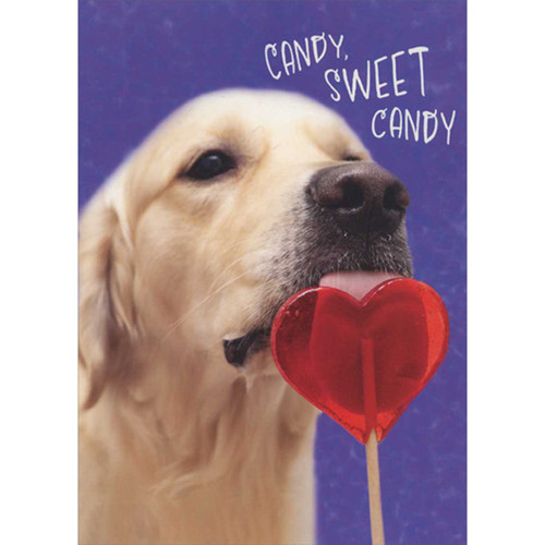 Dog with Tongue Stuck to Heart Shaped Sucker Funny Valentine's Day Card: Candy, Sweet Candy