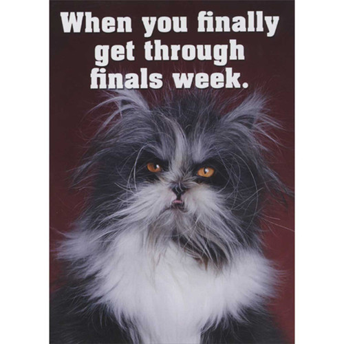 When You Finally Get Through Finals Week: Cat with Messy Fur Funny Graduation Card: When you finally get through finals week.