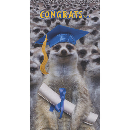 Congrats: Meerkat in Blue Cap Holding Diploma Funny Money Holder / Gift Card Holder Graduation Card: Congrats…