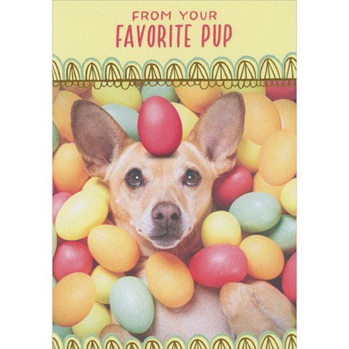 Dog Covered with Easter Eggs with One Egg Balancing on Head Funny Easter Card from the Dog: From Your Favorite Pup