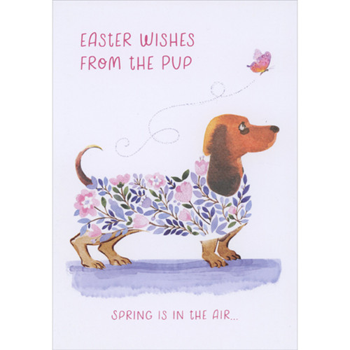 Dachshund Wearing Coat of Flowers: Spring is in the Air Easter Card from the Dog: Easter Wishes From the Pup - Spring is in the air…