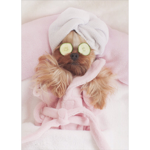 Relaxing Dog in Pink Robe Enjoying a Spa Day Funny Photo Mother's Day Card