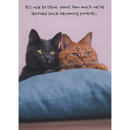 Wild to Think About How Much We've Learned: Cats on Pillow Funny Mother's Day Card for Wife: It's wild to think about how much we've learned since becoming parents…