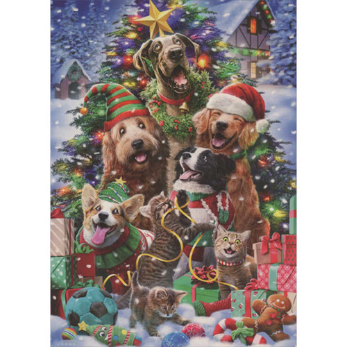 Joyful Dogs and Cats in Holiday Attire, Decorated Tree and Presents Box of 14 Christmas Cards