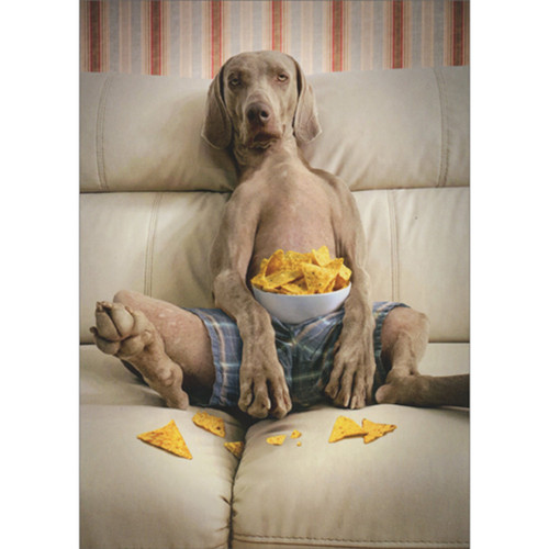 Dog Sitting on Sofa in Underwear with Bowl of Chips Funny Birthday Card for Man