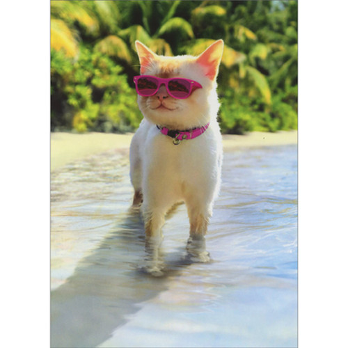 Cat Wearing Pink Sunglasses While Walking in Water on Beach Birthday Card for Woman