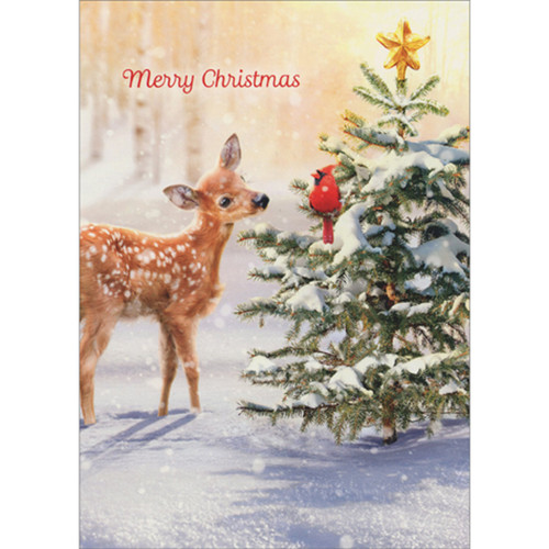 Christmas Card: Fawn Staring at Cardinal on Evergreen Tree: Merry Christmas