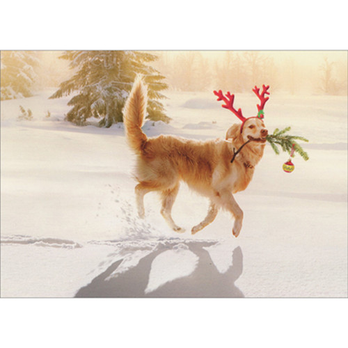 Christmas Card: Dog Wearing Reindeer Antlers Prancing in Snow