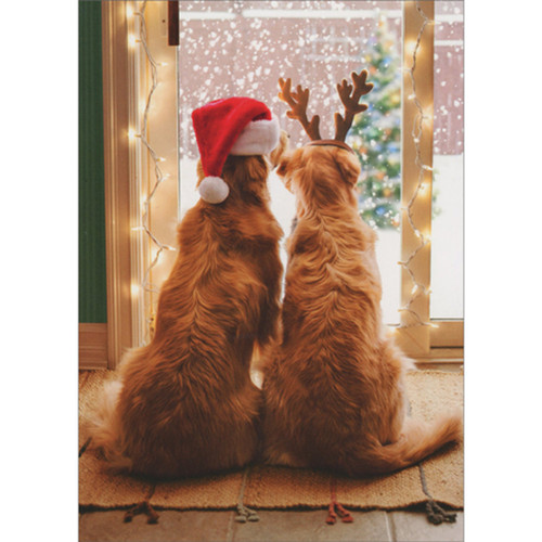 Christmas Card: Festive Dogs Watching Snow Fall Through Window